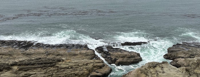Cape Arago State Park is one of OR.