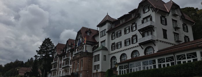 Hotel Palmenwald Schwarzwaldhof is one of Sauna SPA.