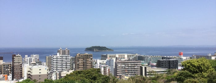 横須賀市 中央公園 is one of 横須賀.