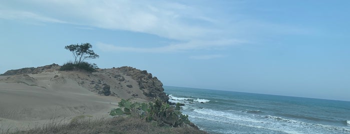 Playa Muñecos is one of Veracruz.