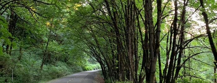 Cedar River Trail is one of Johnさんのお気に入りスポット.