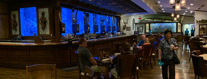 Hemingway's Blue Water Cafe is one of Feed Your Face in Springfield.