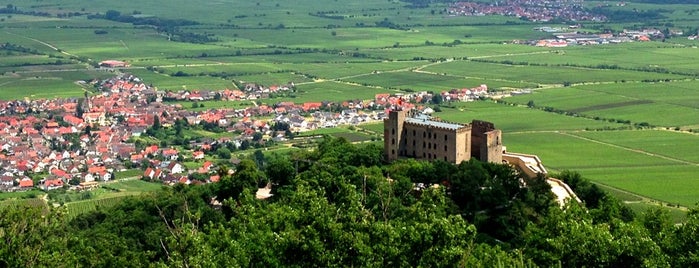 Hambacher Schloss is one of 4sq365de (2/2).