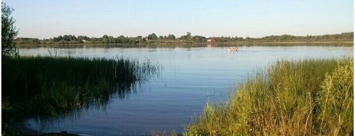 Озеро Чашницы is one of Lugares favoritos de Алексей.