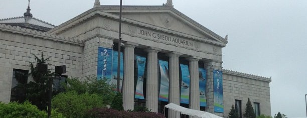 Shedd Aquarium is one of Aquariums of the World.