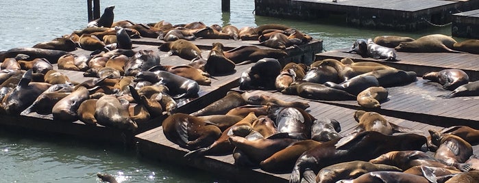 Pier 39 is one of Travelzoo's Guide to San Francisco.