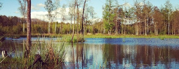 Landschapspark Drongengoedbos is one of Anka: сохраненные места.
