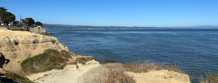 Pleasure Point is one of Santa Cruz 🏄‍♀️.