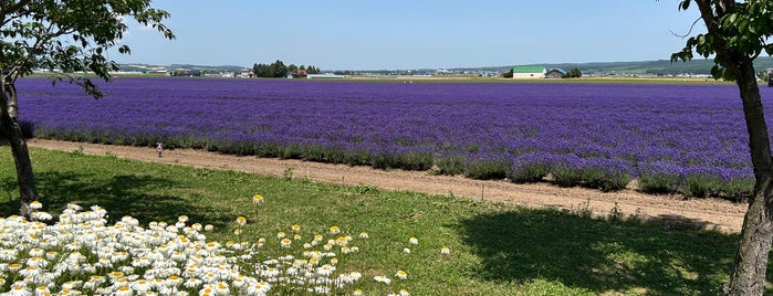 Farm Tomita - Lavender East is one of Lieux qui ont plu à swiiitch.