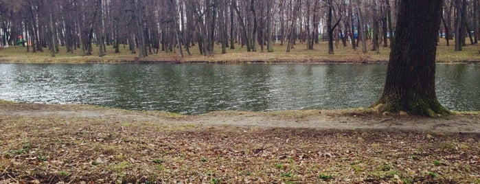 Озера в городском парке is one of Достопримечательности @ Воскресенск.