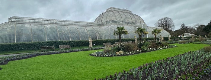 Kew Gardens Herbarium is one of Sitios.