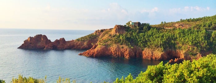 Calanque d'Aurèle is one of Cannes.