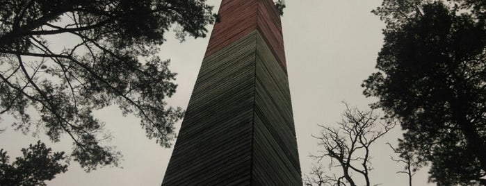 Lielupes bāka (lighthouse) is one of Анжеликаさんのお気に入りスポット.