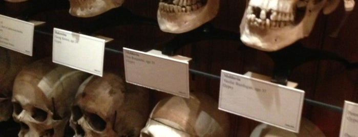 Mütter Museum is one of Kids Love Philly.