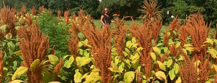 River Lily Farm is one of Maine & New Hampshire.