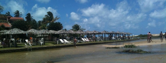 Praia de Punaú is one of Tempat yang Disukai Andrea.