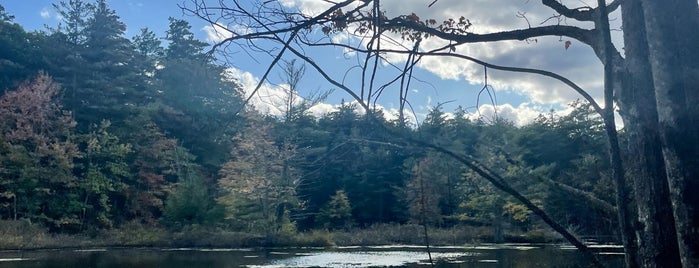 Pawtuckaway State Park is one of New Hampshire / Landmarks.
