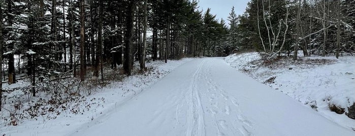 Eagle Lake Carriage Road is one of Acadia.