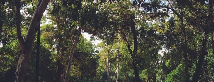 Parque Florestal de Monsanto is one of Lissabon.