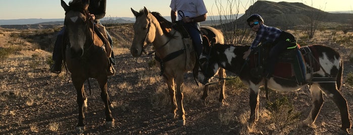 Lajitas Stables is one of Big Bend NP, TX.