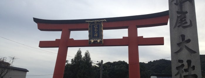 松尾大社 is one of Kyoto_Sanpo.