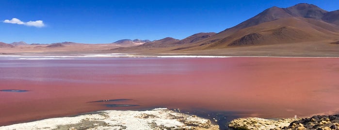 Laguna Colorada is one of Miguelさんのお気に入りスポット.