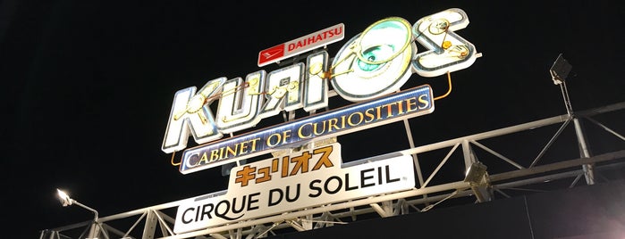 Cirque Du Soleil- Totem is one of Tokyo.