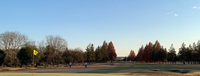 リバーサイドフェニックスゴルフクラブ is one of 河川敷ゴルフ.