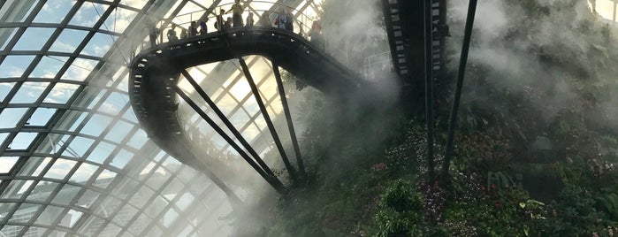 Cloud Forest is one of Singapore 2016.