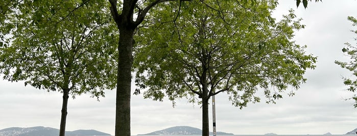 Maltepe Sahil Parkı is one of Istanbul Attractions ( Istanbul Gezilecek Yerler ).
