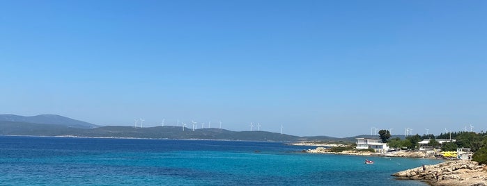 Akkum Plajı is one of Lugares favoritos de Selin.