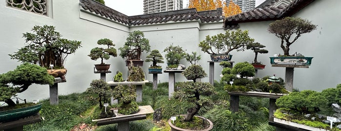 Chinese Garden of Friendship is one of Sydney Australia.