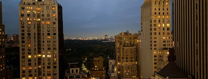 Life Rooftop Central Park is one of Rooftops NYC🚕🌇.