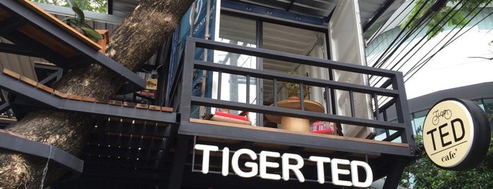 Tiger Ted Café is one of cafe culture thailand.