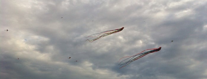 Putra Point Field (Kites Flying) is one of Hello Putra Heights.