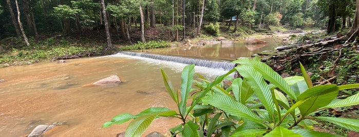 Hutan Lipur Bukit Bakar (Reserved Forest) is one of great outdoor activities.