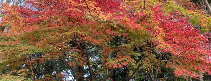 Yoshikien Garden is one of Manon: сохраненные места.