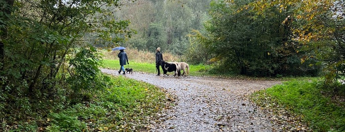 Het Twiske is one of Day trips.