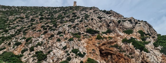 Cova Tallada is one of Alicante mis sitios.