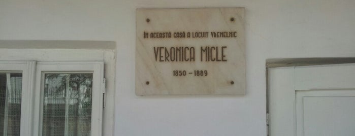 Casa Memorială Veronica Micle is one of Complexul Muzeal Județean Neamț.