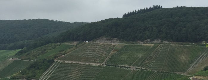Panoramastraße is one of Trips / Mosel.