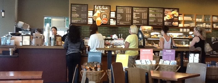 Starbucks is one of North Scottsdale.
