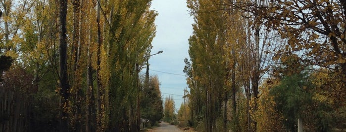 Chacras de Coria is one of Experience Mendoza.