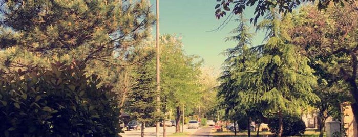 Kırkpınar Yürüyüş Yolu is one of Maşukiye-Kartepe.