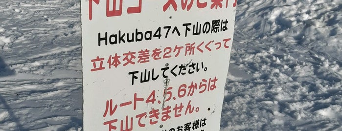 hakuba47  ルート7 route7 is one of 白馬五竜47.