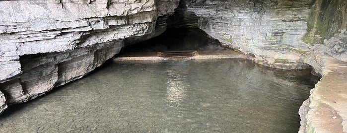 Cave Spring is one of Tennessee.