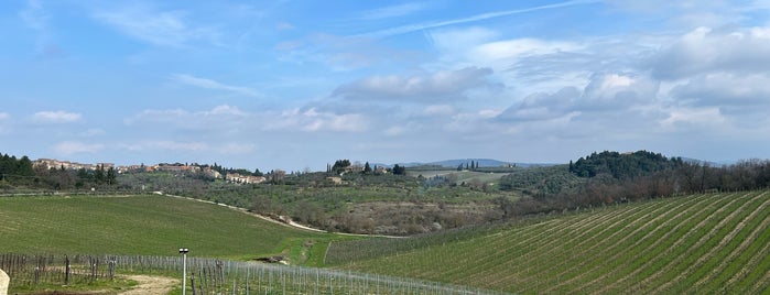 Casa Emma is one of Vinyards of Toscana.