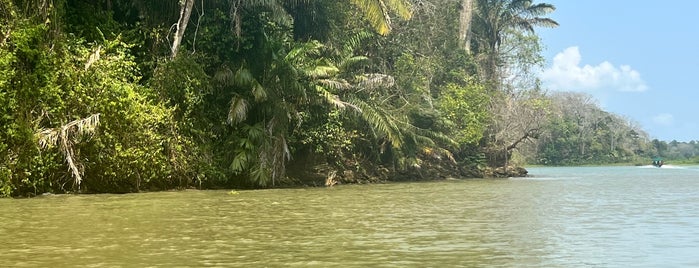 Parque Nacional Soberanía is one of Centros de Visitantes y Museos de Panamá.