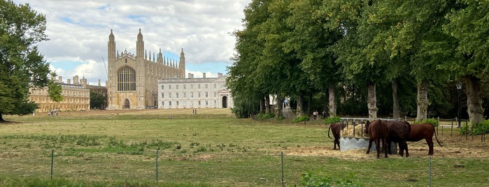 The Backs is one of Explore Cambridge.
