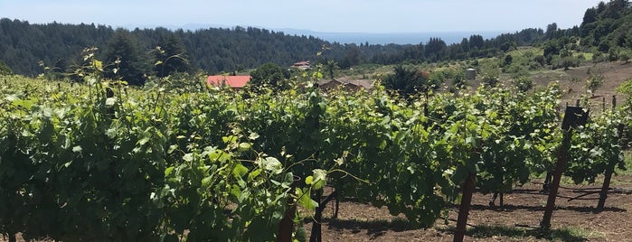 Soquel Vineyards is one of Santa Cruz.